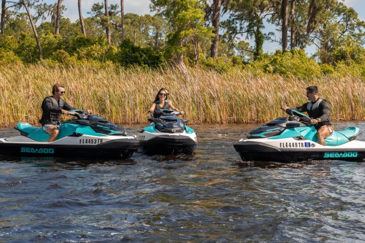 Three people riding jet skis on a lake near reeds and trees on a sunny day.