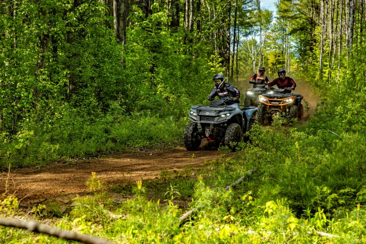 Three people riding ATVs on a forest trail surrounded by green foliage.