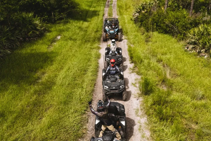 Four people riding ATVs on a forest trail.