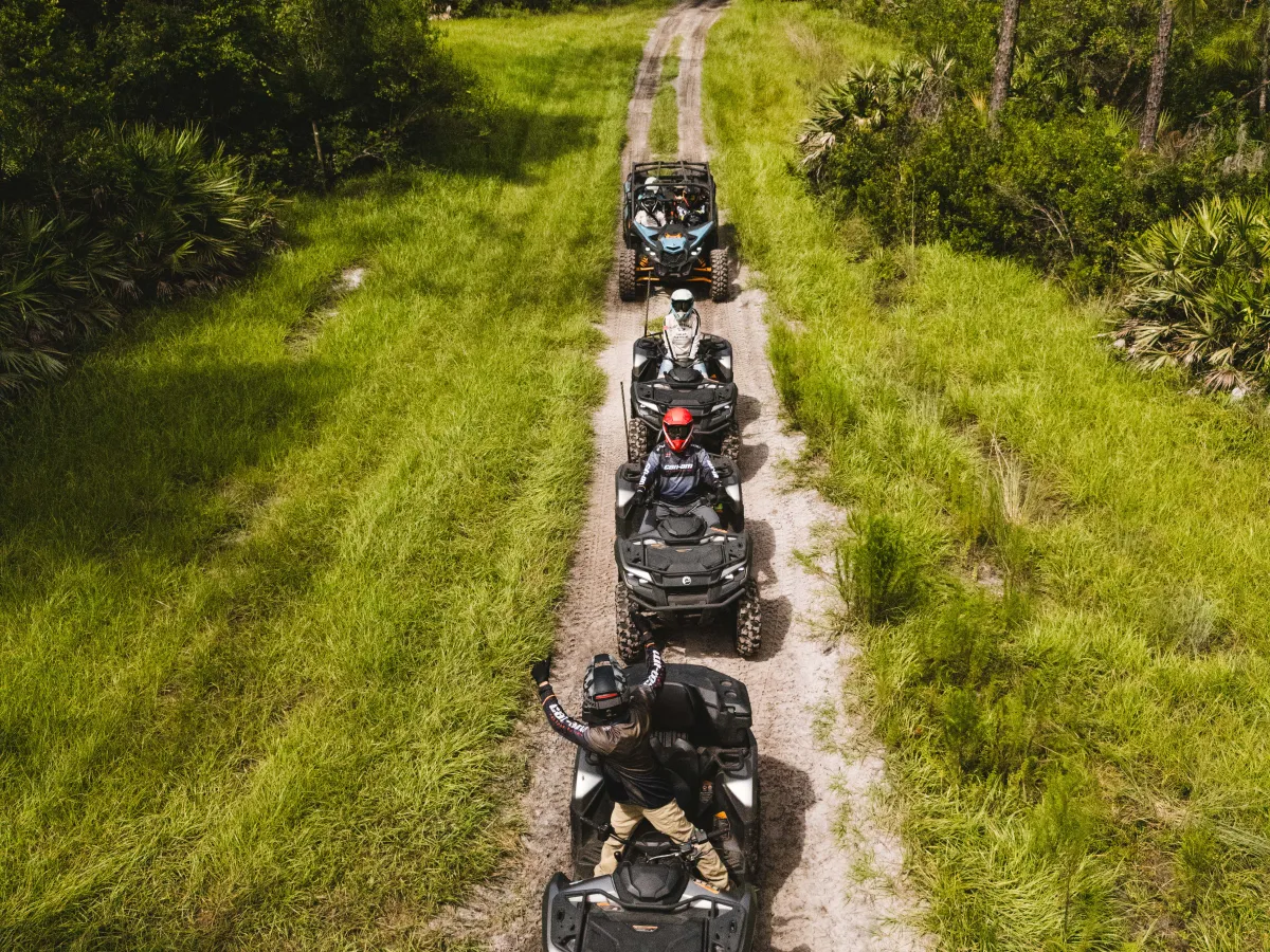 Four people riding ATVs on a forest trail.